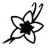 Vanilla