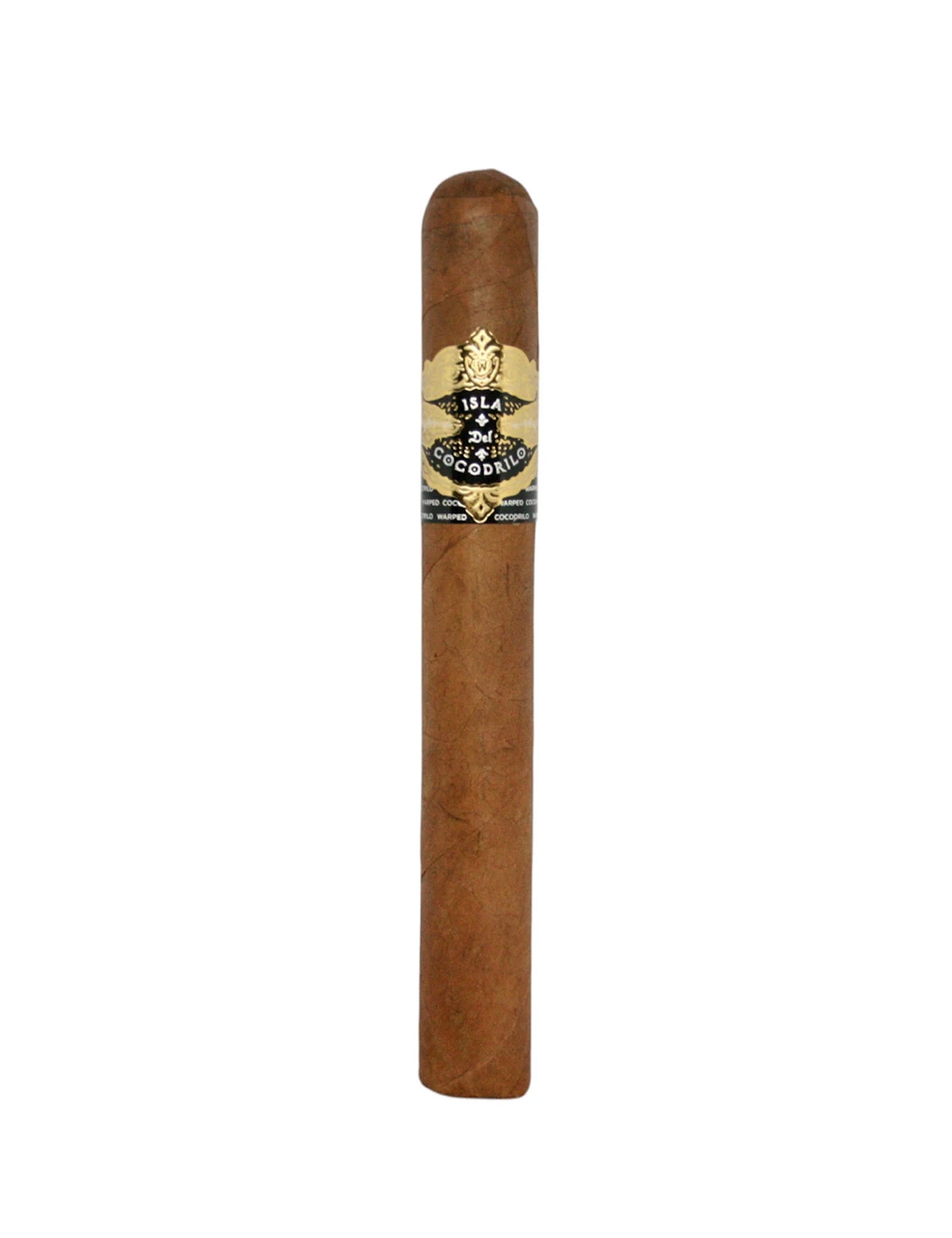 Warped Isla Del Cocodrilo Corona Gorda 5.6" x 46